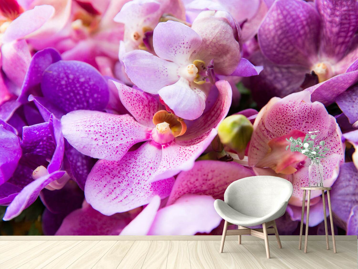 photo-wallpaper-orchid-paradise