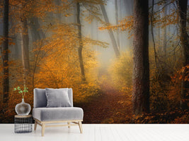 photo-wallpaper-in-autumn-x