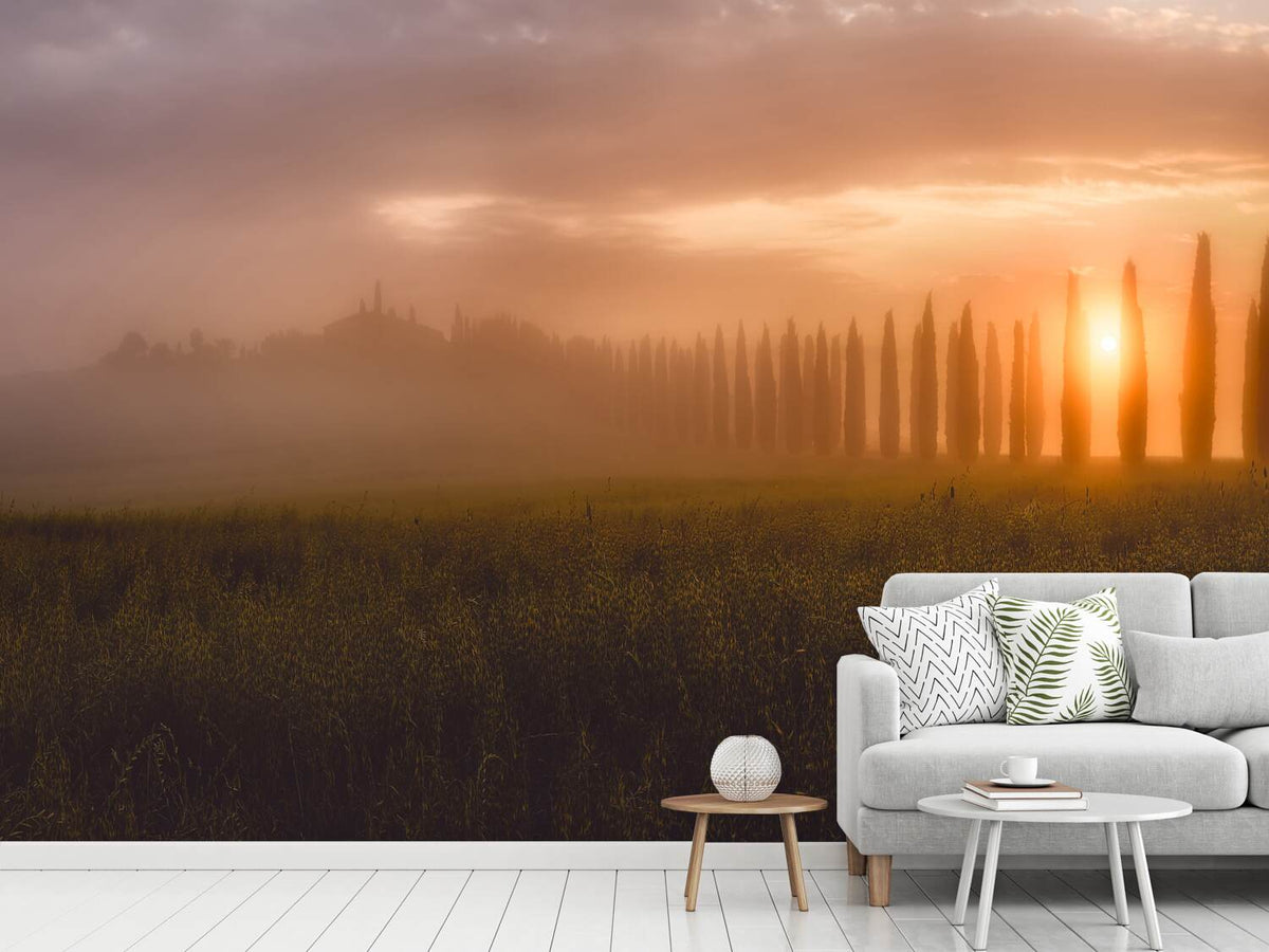 photo-wallpaper-tuscany-sunrising