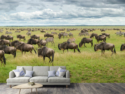 photo-wallpaper-great-migration-in-serengeti-plains-x