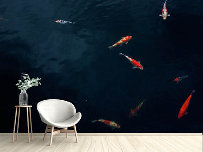 photo-wallpaper-fish-in-the-pond