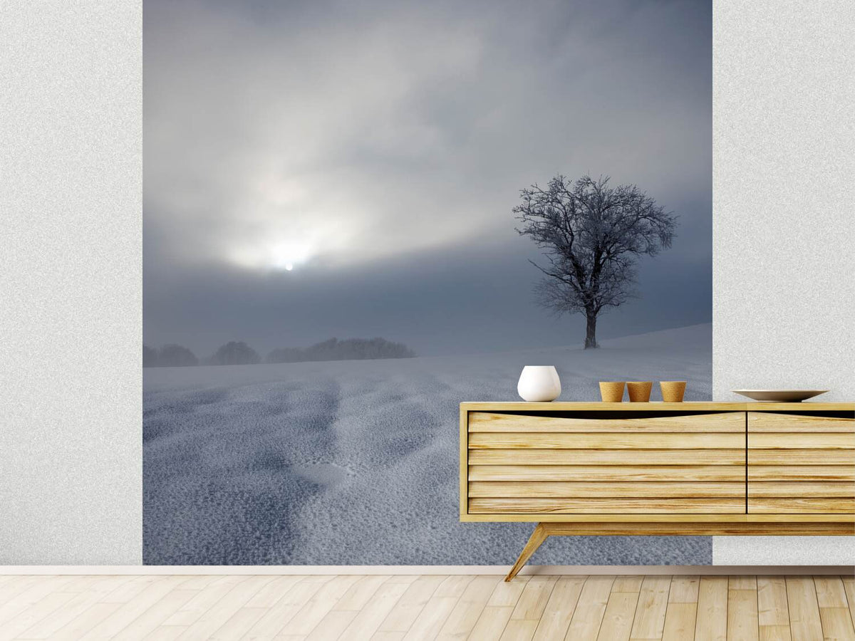 photo-wallpaper-winter-impression