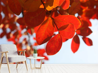 photo-wallpaper-red-leaves-xl