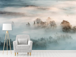 photo-wallpaper-winter-fog