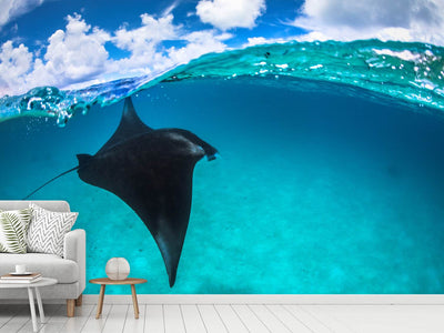 photo-wallpaper-a-reef-manta-ray-in-mayotte-x