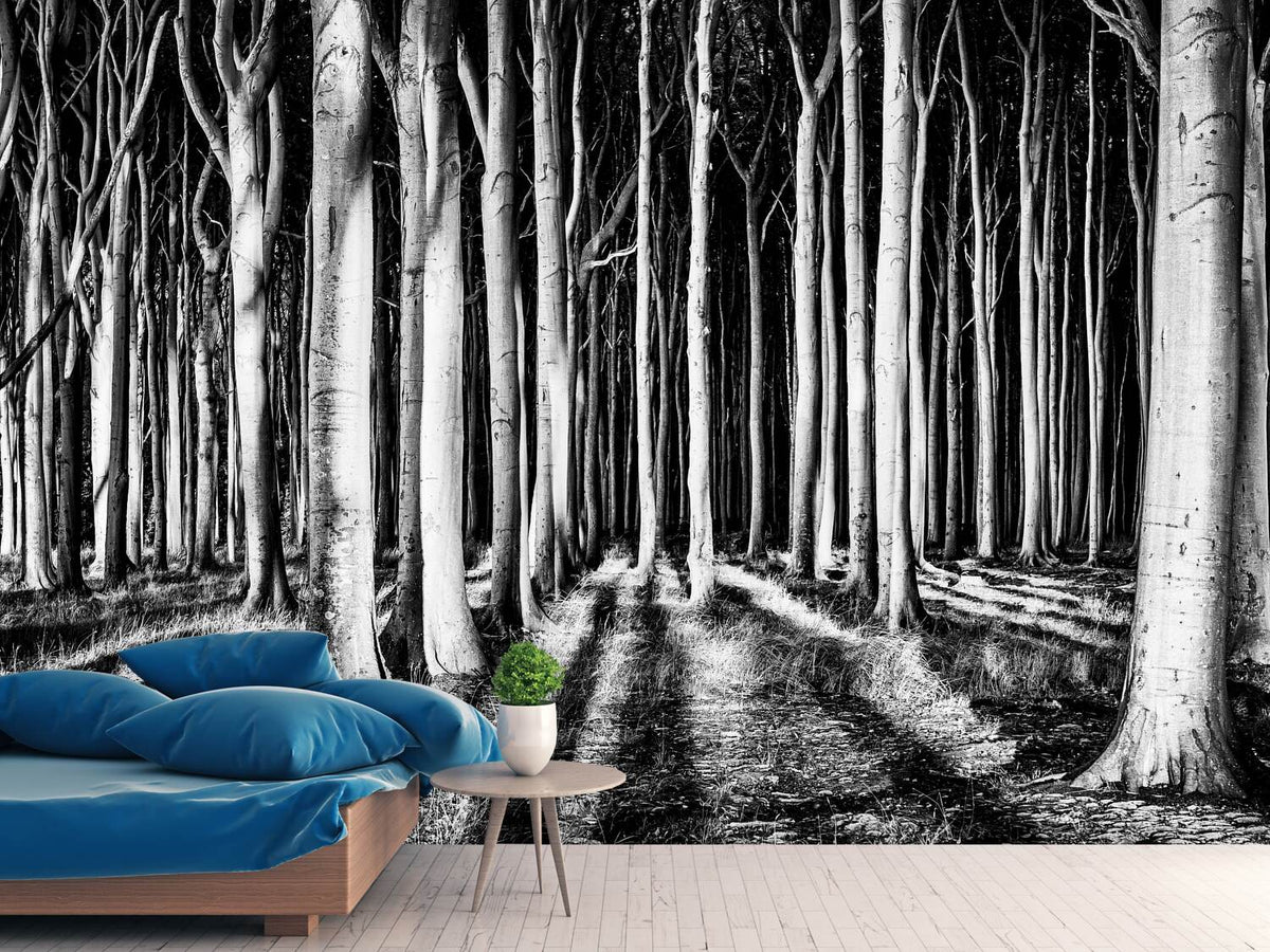 photo-wallpaper-ghost-forest