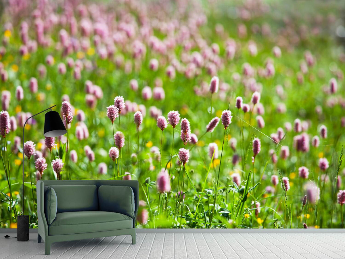 photo-wallpaper-clover