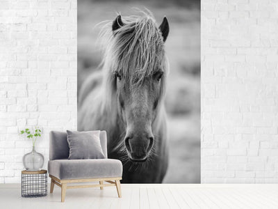 photo-wallpaper-horse-being-at-the-corridor