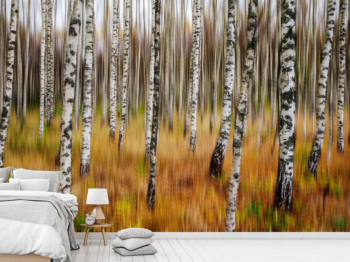 photo-wallpaper-3d-birches-x