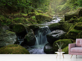 photo-wallpaper-calming-view