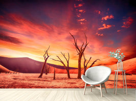 photo-wallpaper-colorful-desert