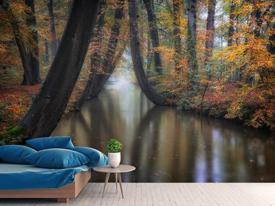 photo-wallpaper-enchanted-autumn-x