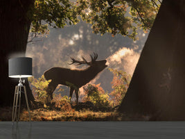 photo-wallpaper-he-waits-in-the-shadows-x