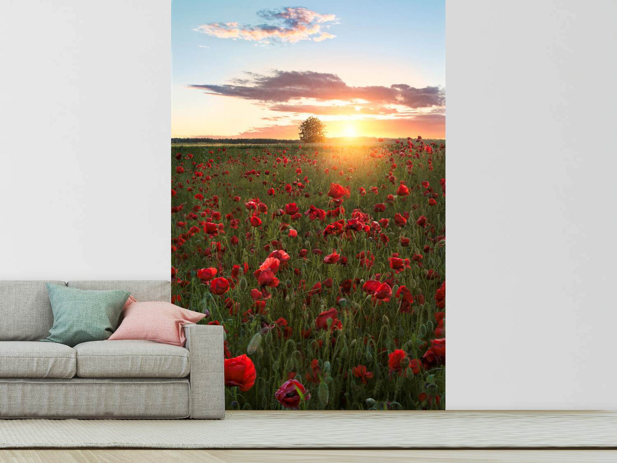 photo-wallpaper-poppy-fields-of-sweden