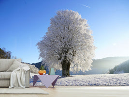 photo-wallpaper-winter-fairy-tale