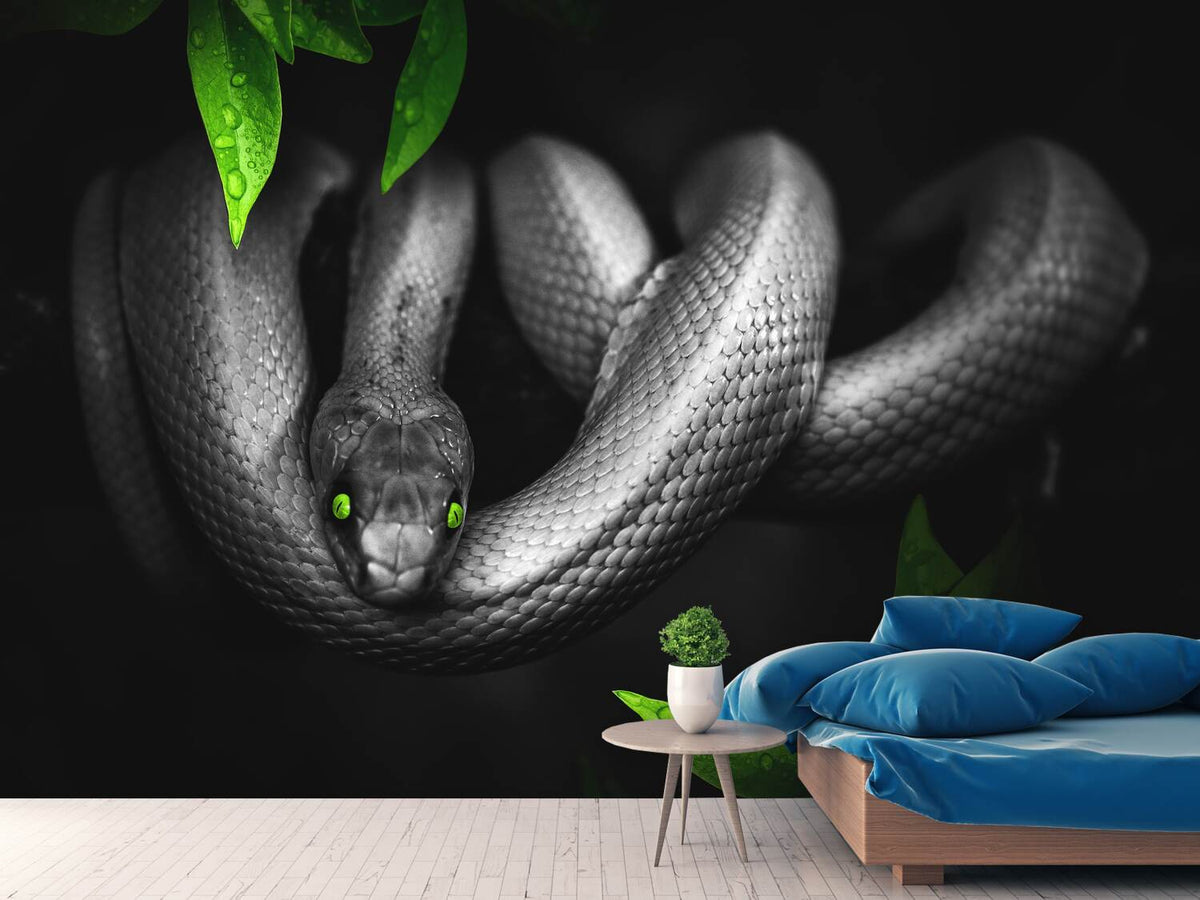 photo-wallpaper-attention-snake