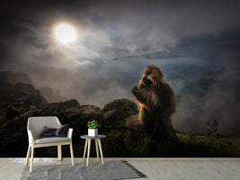 photo-wallpaper-gelada-baboons-x