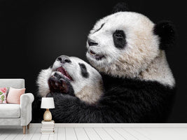 photo-wallpaper-pandas-x