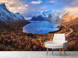 photo-wallpaper-autumn-in-senja-x