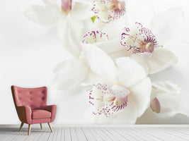 photo-wallpaper-fantastic-orchids