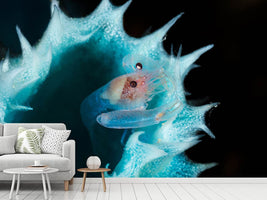 photo-wallpaper-shrimp-in-a-blue-sponge