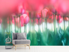 photo-wallpaper-lined-tulips-x