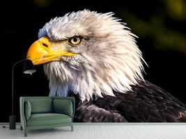 photo-wallpaper-the-eagle-head