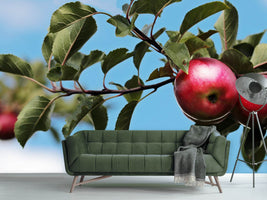 photo-wallpaper-apple-on-the-tree