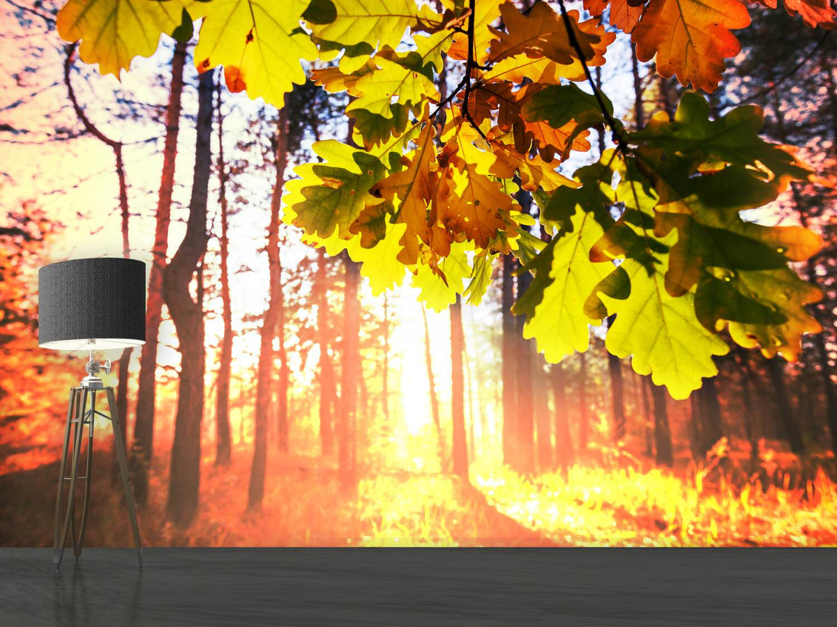 photo-wallpaper-autumn