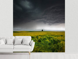 photo-wallpaper-sommergewitter