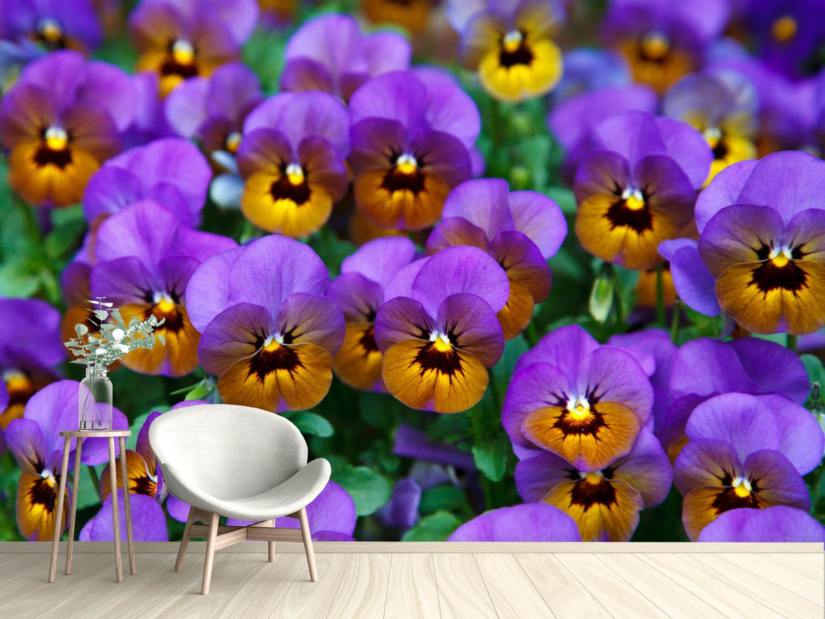 photo-wallpaper-the-pansies