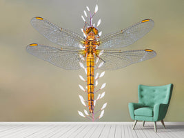 photo-wallpaper-dragonfly