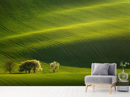 photo-wallpaper-moravian-waves-x