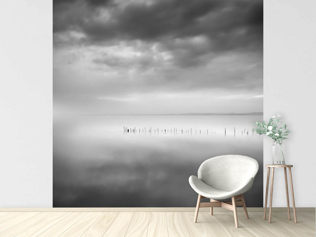 photo-wallpaper-sixty-shades-of-gray