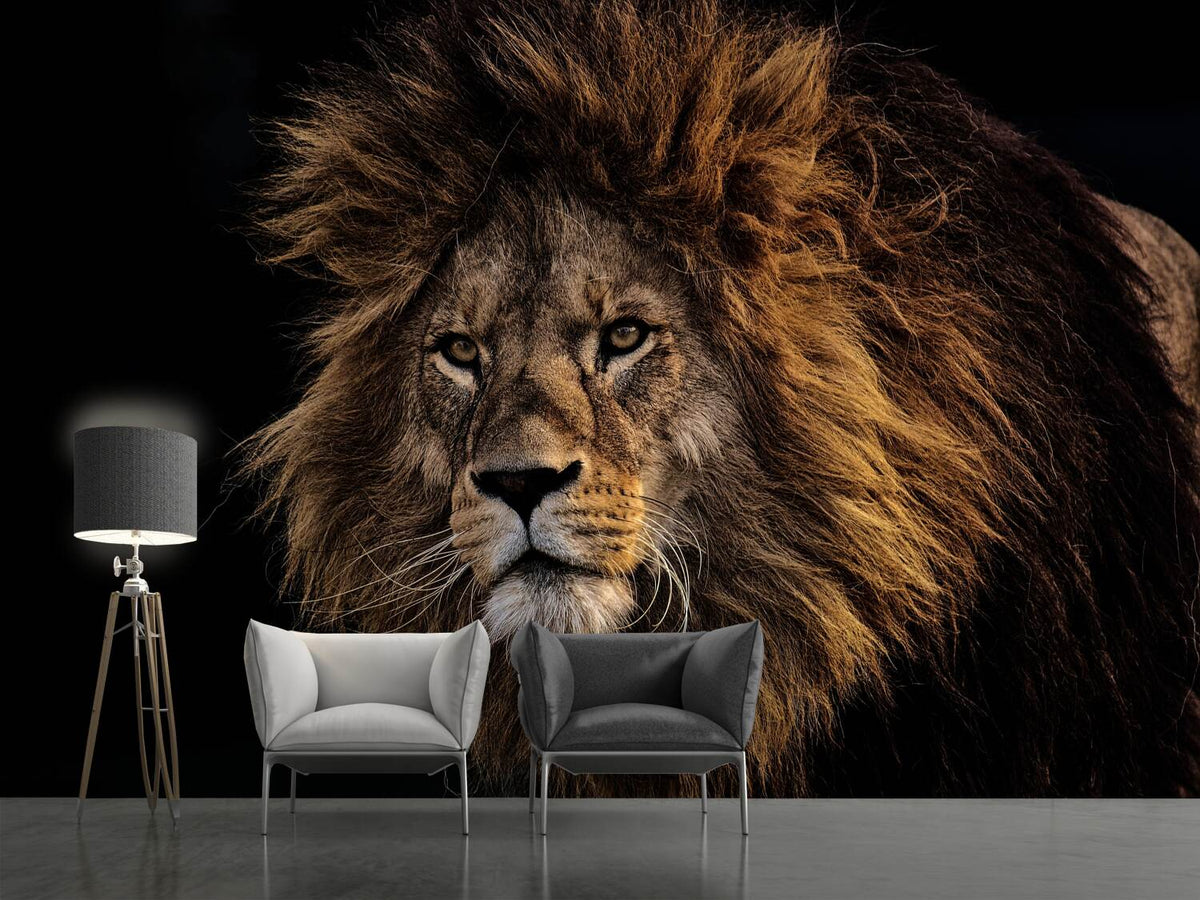 photo-wallpaper-portrait-of-a-lion