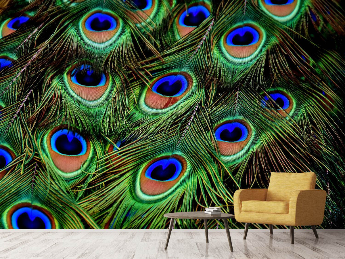 photo-wallpaper-peacock-feathers-xxl