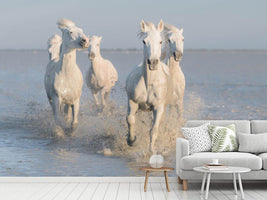 photo-wallpaper-horses-xue