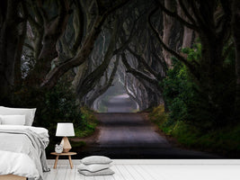 photo-wallpaper-magic-road