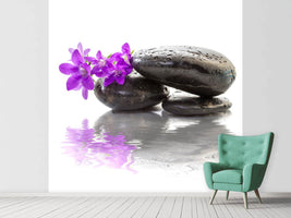 photo-wallpaper-feng-shui-stones