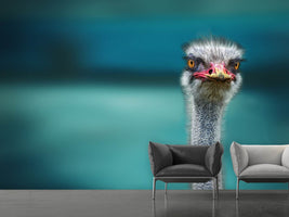 photo-wallpaper-ostrich-protecting-two-poor-chicken-from-the-wind