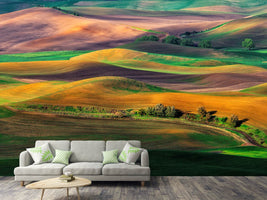 photo-wallpaper-the-palouse