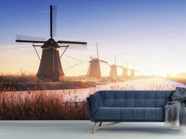 photo-wallpaper-kinderdijk-iv