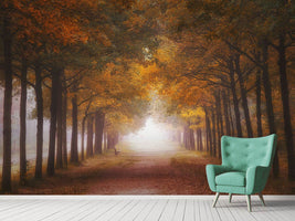 photo-wallpaper-foggy-autumn-dream-x