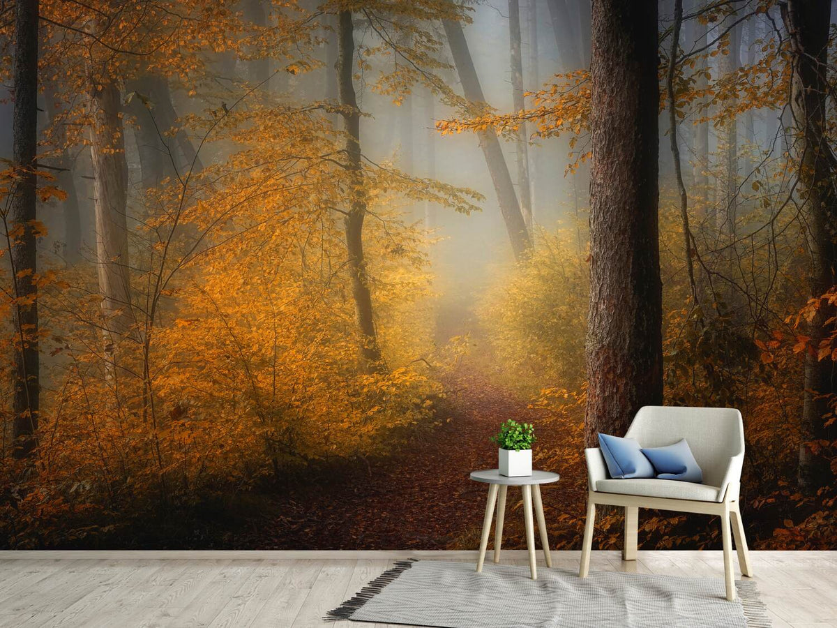 photo-wallpaper-in-autumn-x