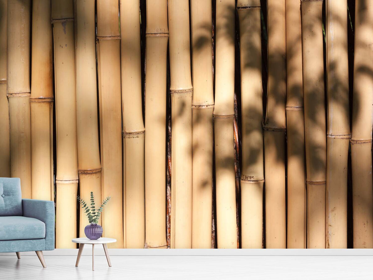 photo-wallpaper-natural-bamboo