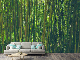 photo-wallpaper-in-the-middle-of-the-bamboo