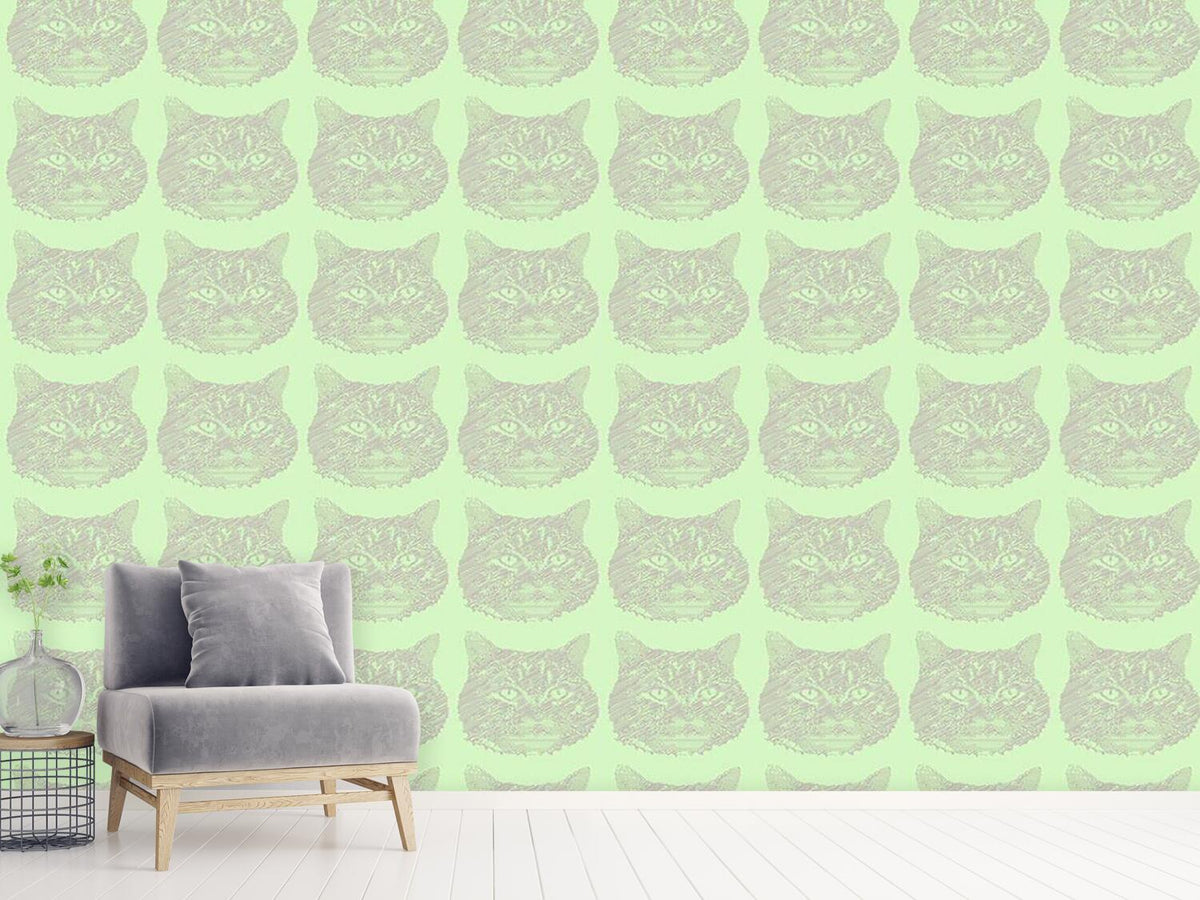 patterned-wallpaper-cat-memory