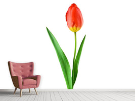 photo-wallpaper-the-proud-tulip