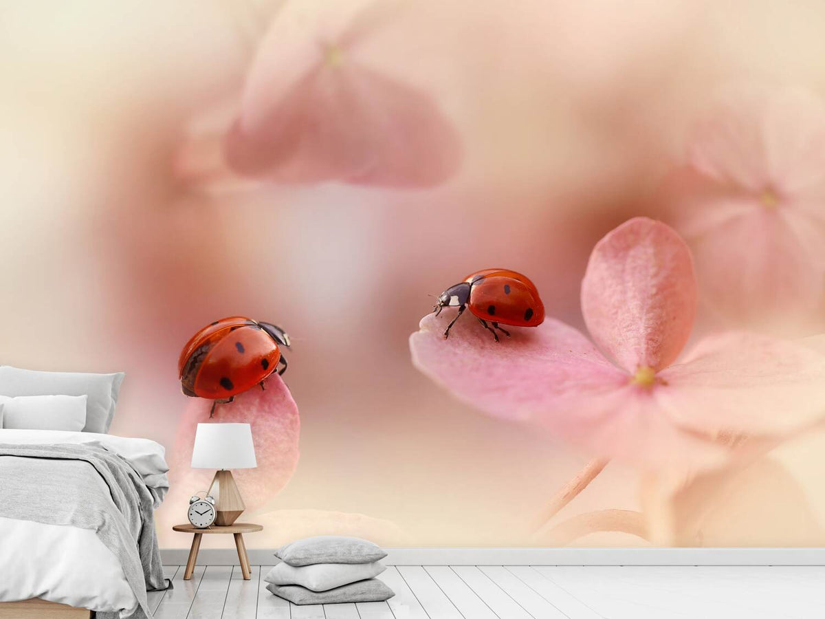 photo-wallpaper-ladybirds-on-pink-hydrangea