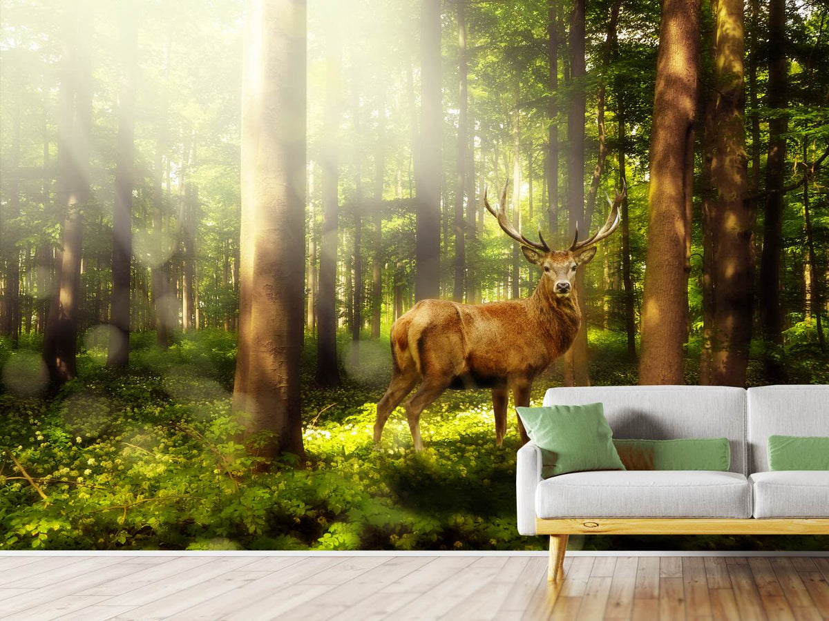 photo-wallpaper-attention-deer